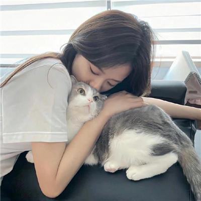 虎口巡航